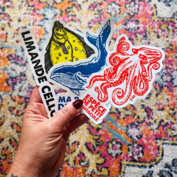 Lot de 3 stickers 1.0 de Melle Roze