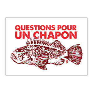 Carte postale questions pour un chapon de Melle Roze