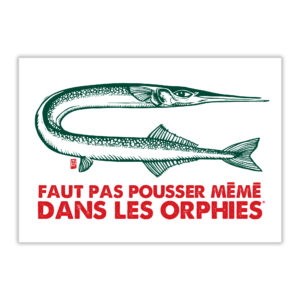 Carte postale Faut pas pousser mémé dans les orphies de Melle Roze